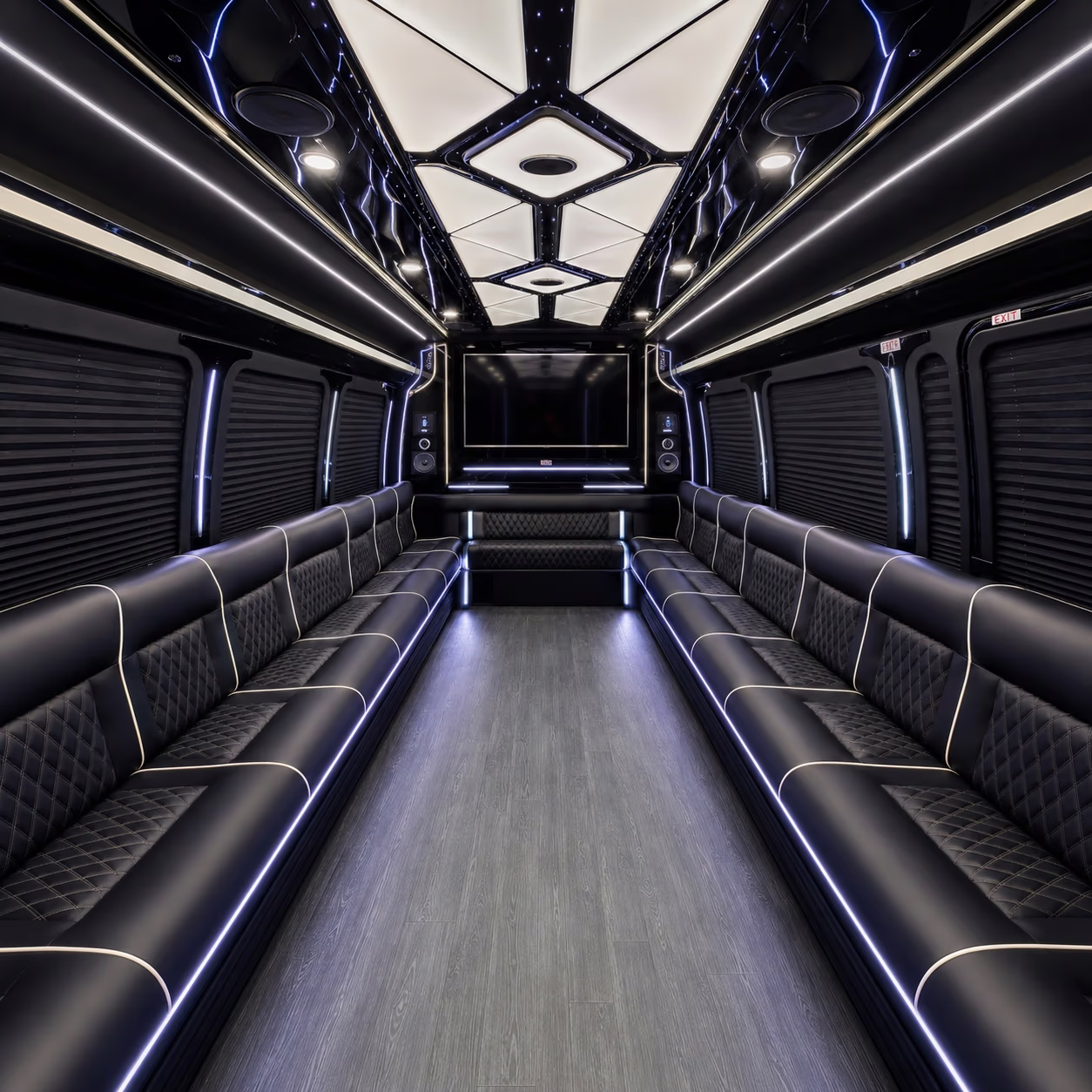 18 Passenger Party Bus Inside