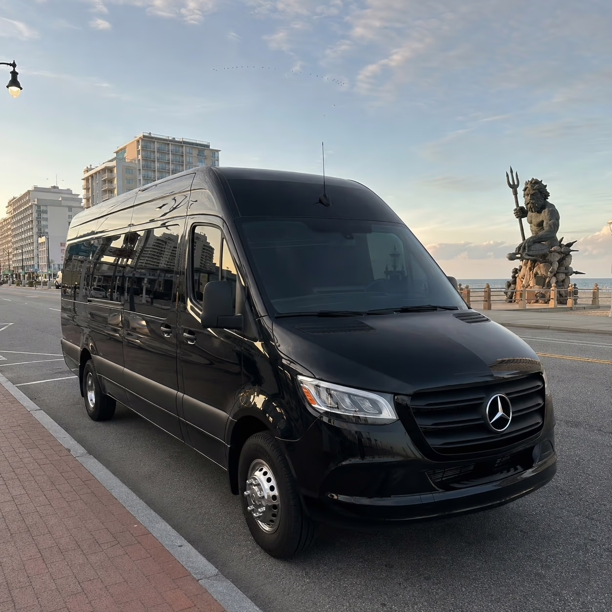 14 Passenger Sprinter Limo