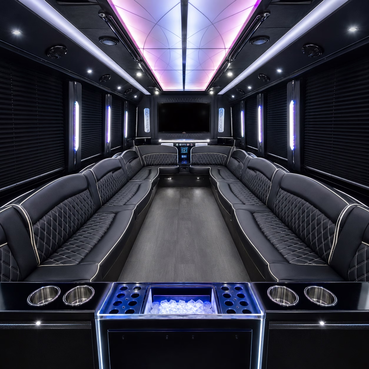 30 Passenger Party Bus Interior