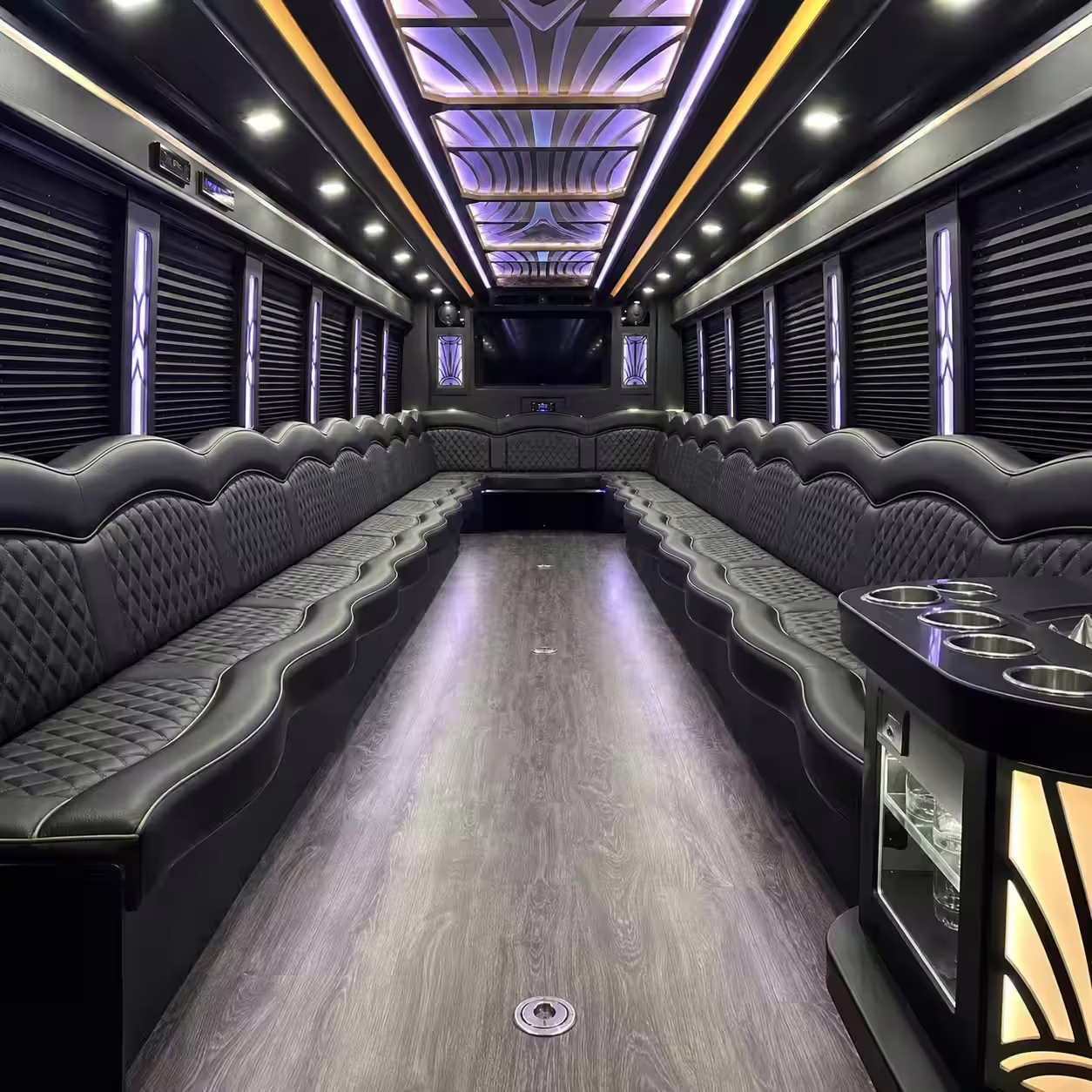 25 Passenger Party Bus Inside