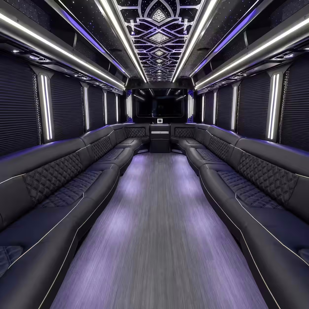 20 Passenger Party Bus Inside