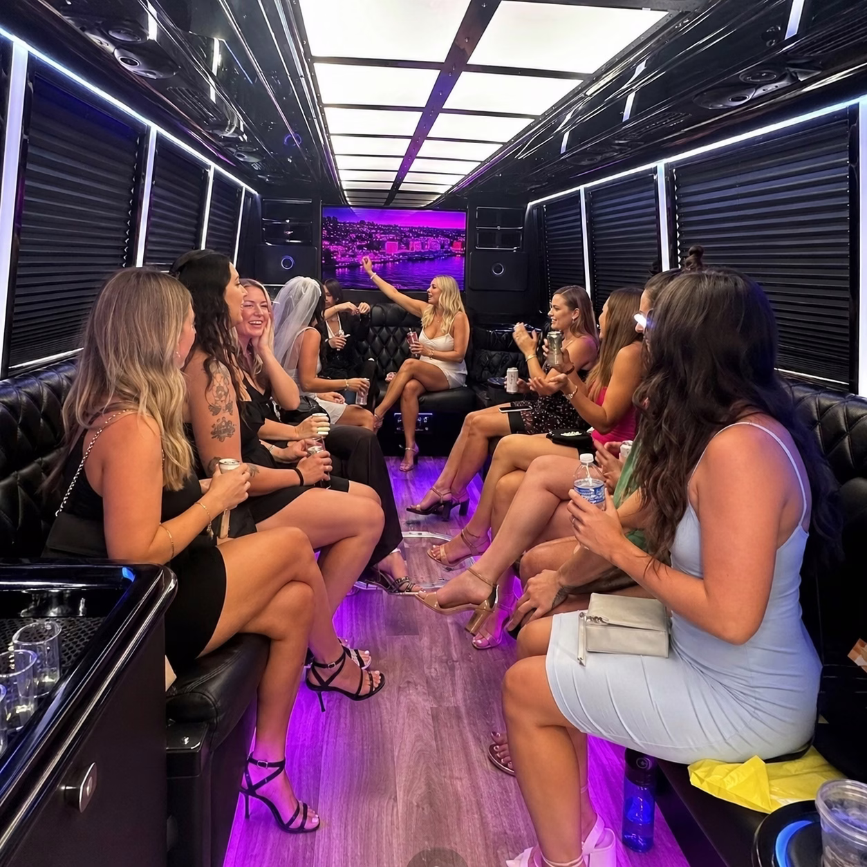 Group inside a Virginia Beach bachelorette party bus