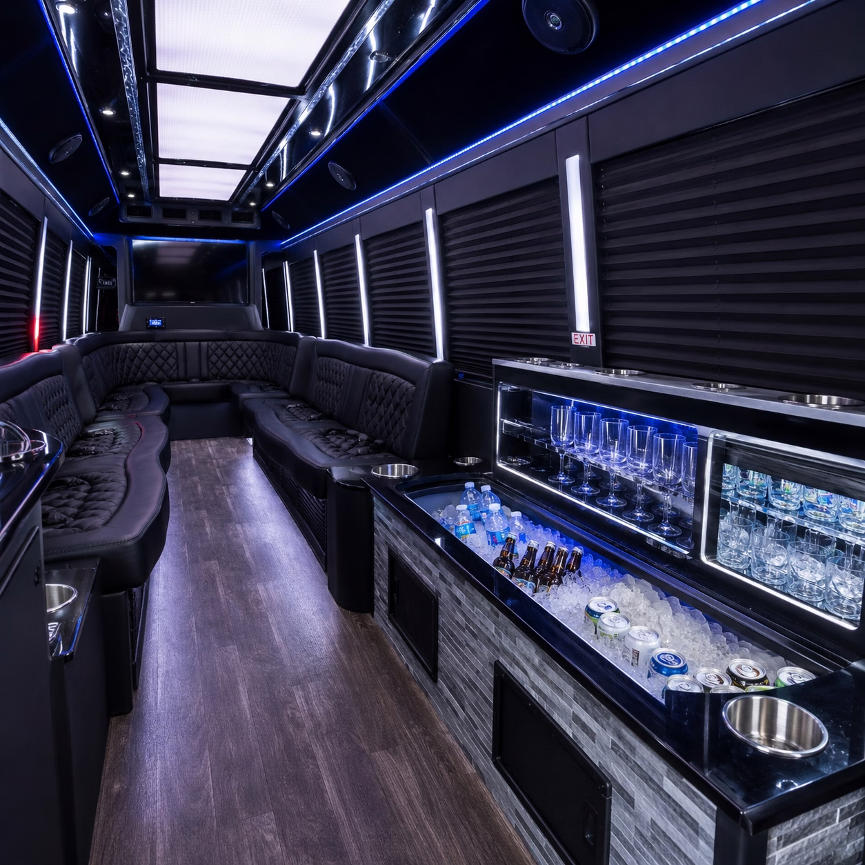 Bachelor bachelorette party bus bachelorette party bus party bus bar detail in Hampton Roads